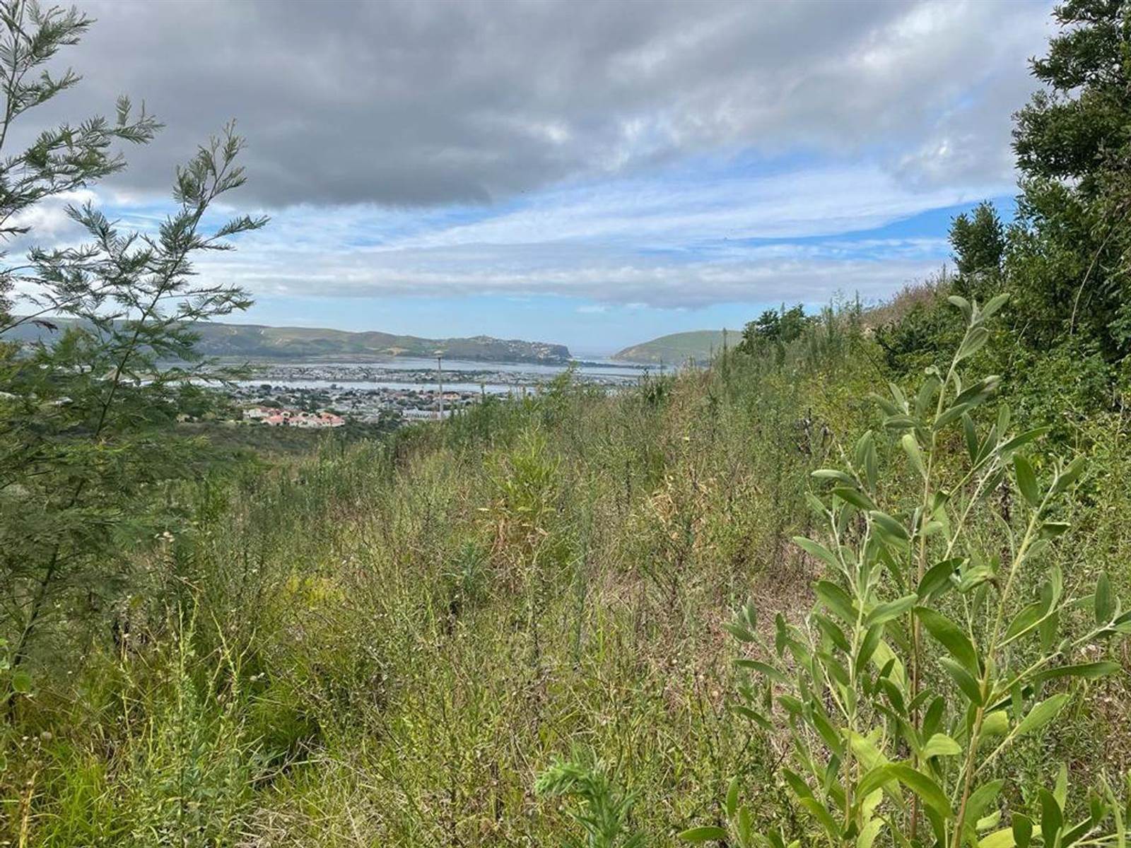 1356 m² Land available in Knysna Heights photo number 6