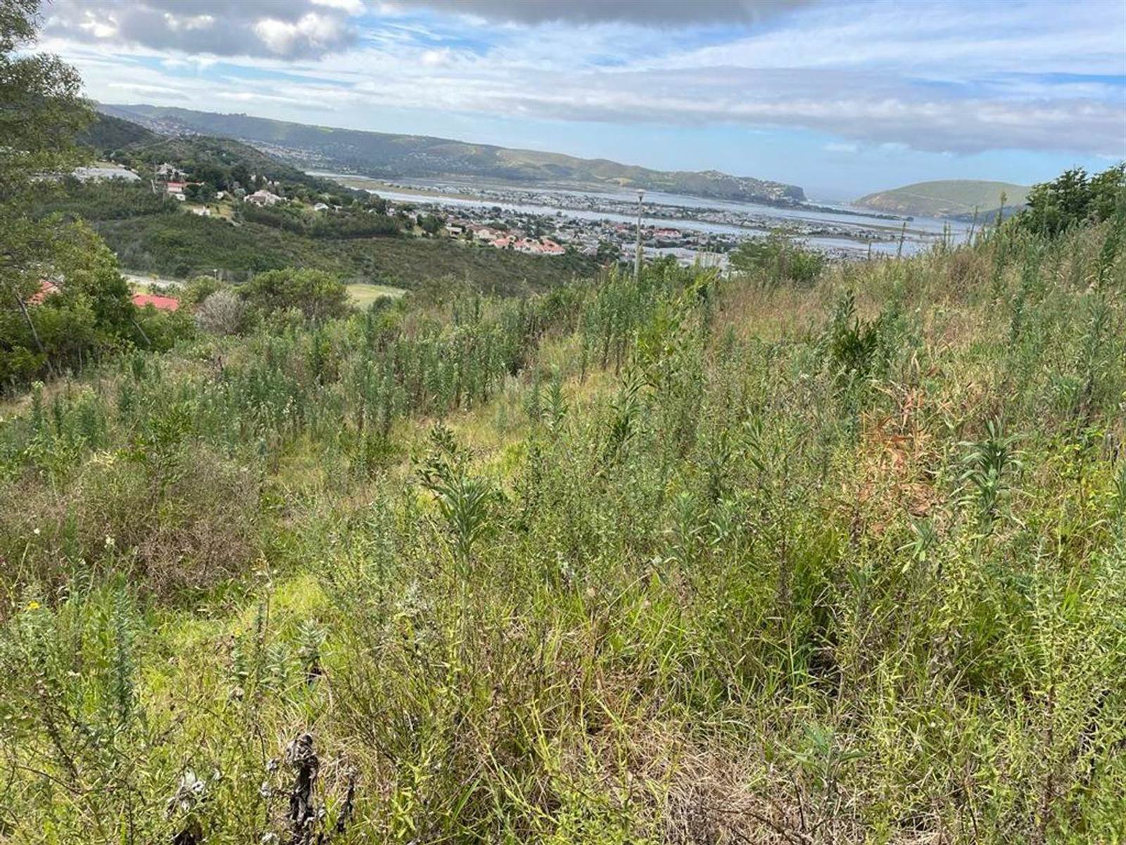 1356 m² Land available in Knysna Heights photo number 4