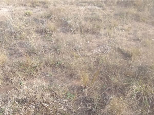 1100 m² Land available in Mthata