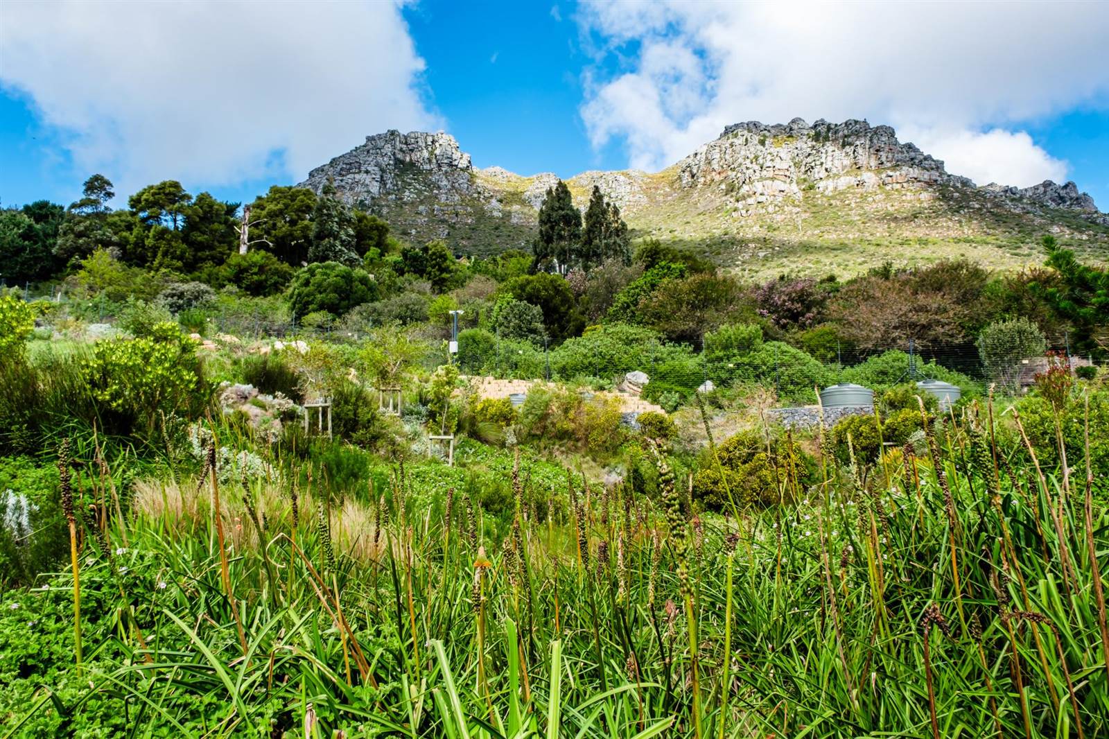 673 m² Land available in Hout Bay and surrounds photo number 11
