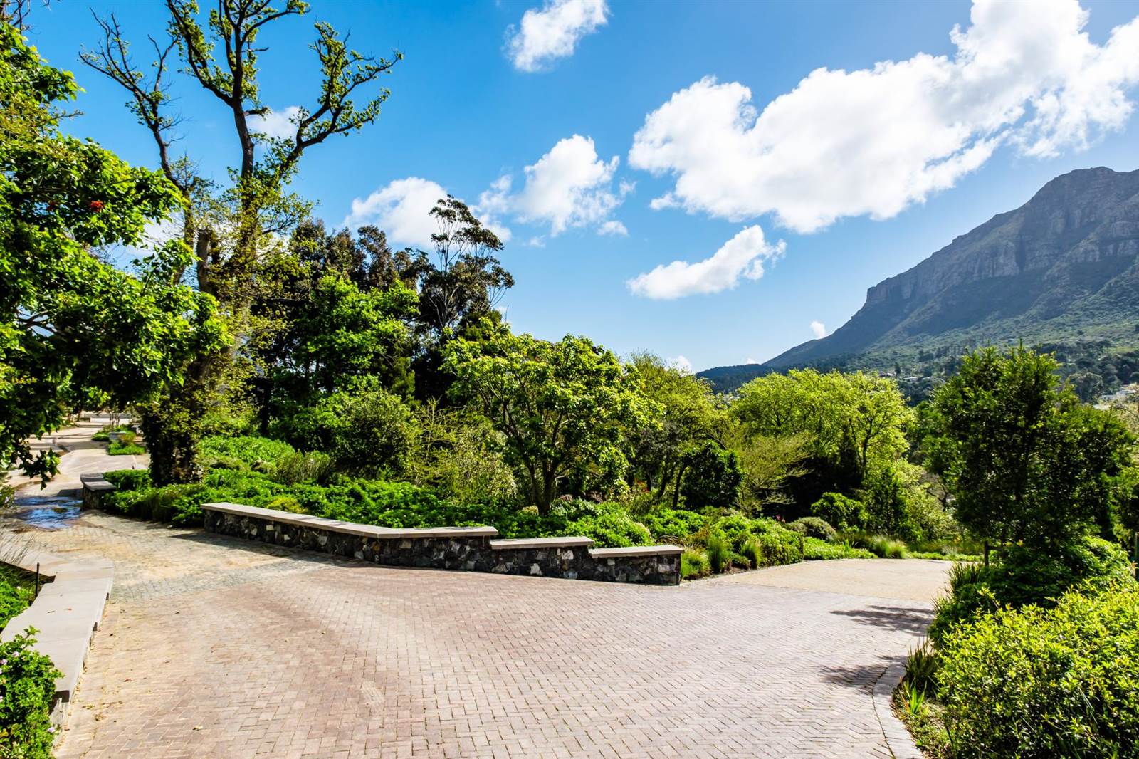 673 m² Land available in Hout Bay and surrounds photo number 7