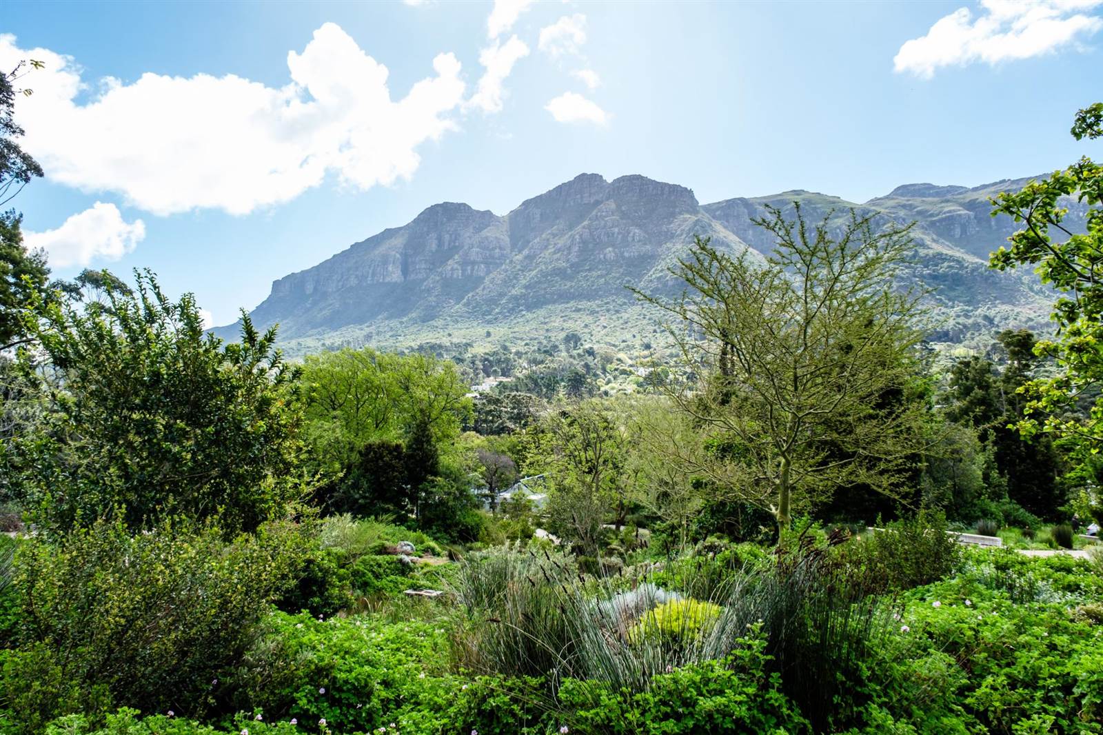 673 m² Land available in Hout Bay and surrounds photo number 1