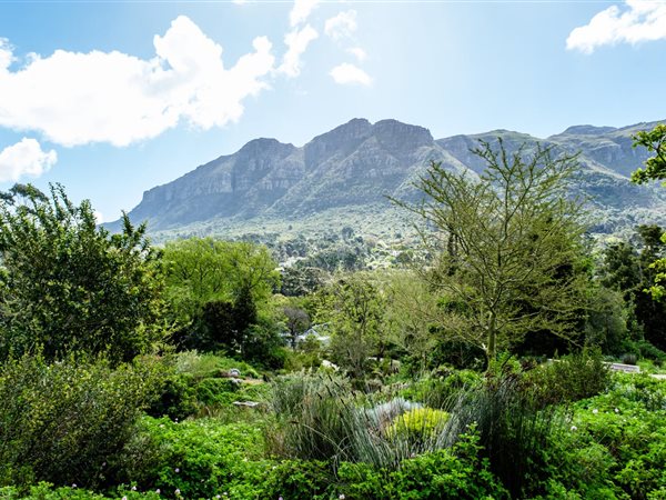 673 m² Land available in Hout Bay and surrounds