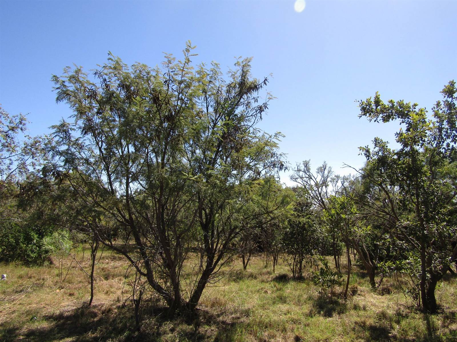 496 m² Land available in Seasons Lifestyle Estate photo number 1