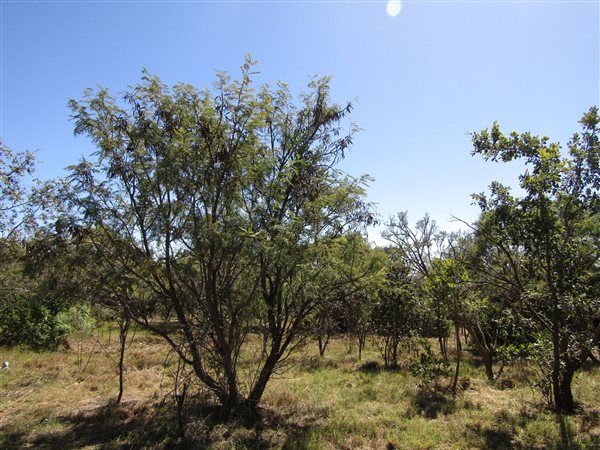 496 m² Land available in Seasons Lifestyle Estate