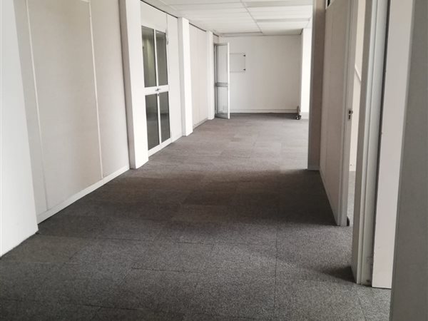 137  m² Office Space