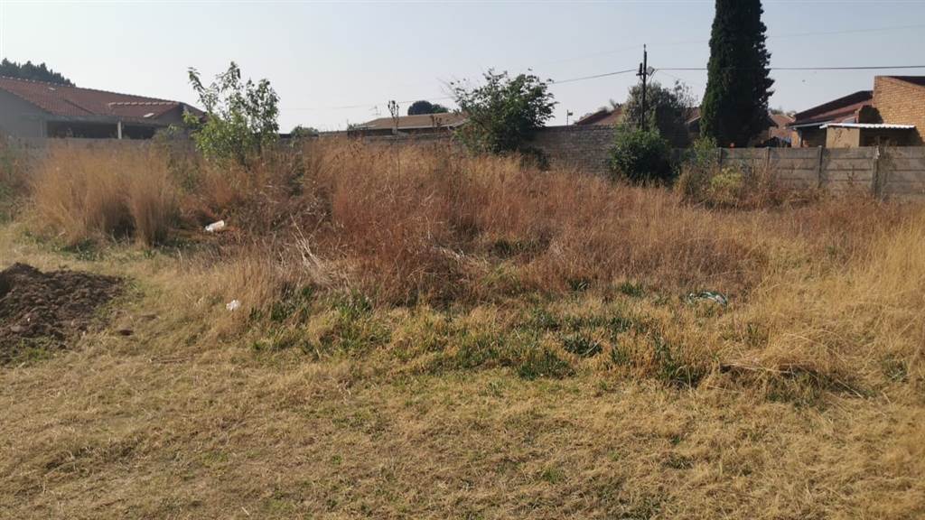 350 m² Land available in Minnebron photo number 4