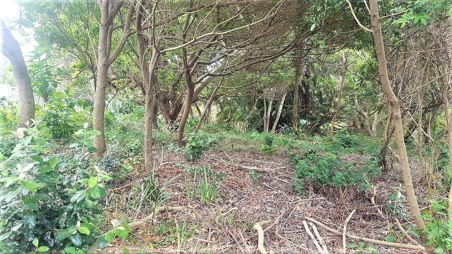 1504 m² Land available in Hibberdene photo number 8