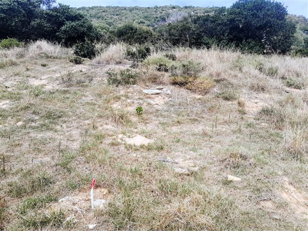 224 m² Land available in Island View