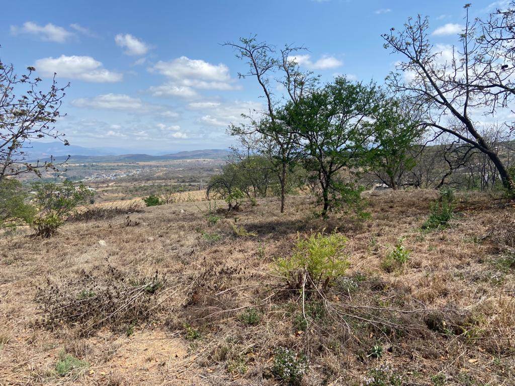 1700 m² Land available in Drum Rock photo number 7