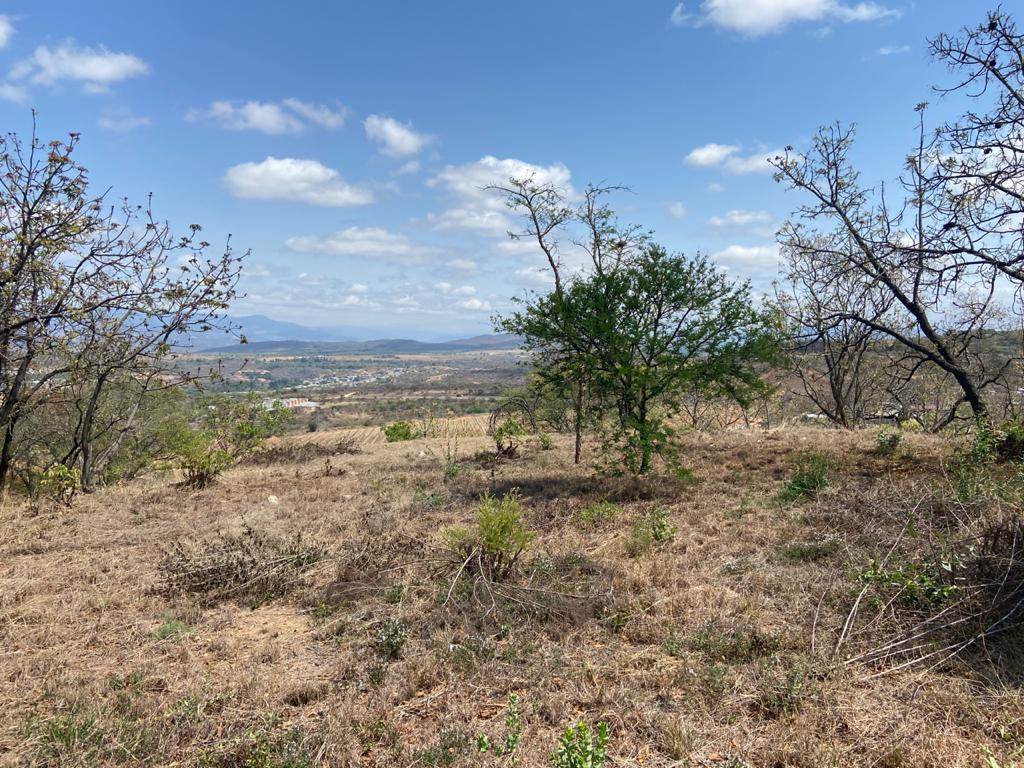 1700 m² Land available in Drum Rock photo number 8