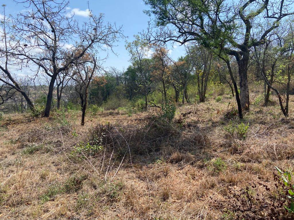 1700 m² Land available in Drum Rock photo number 6