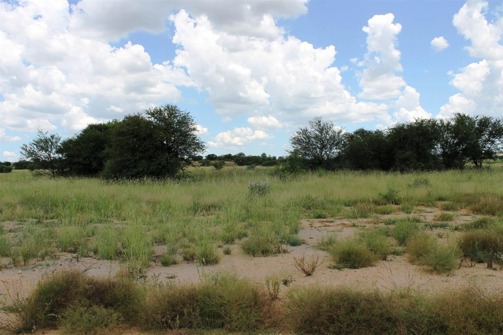 855 m² Land available in Parys Golf Estate photo number 8