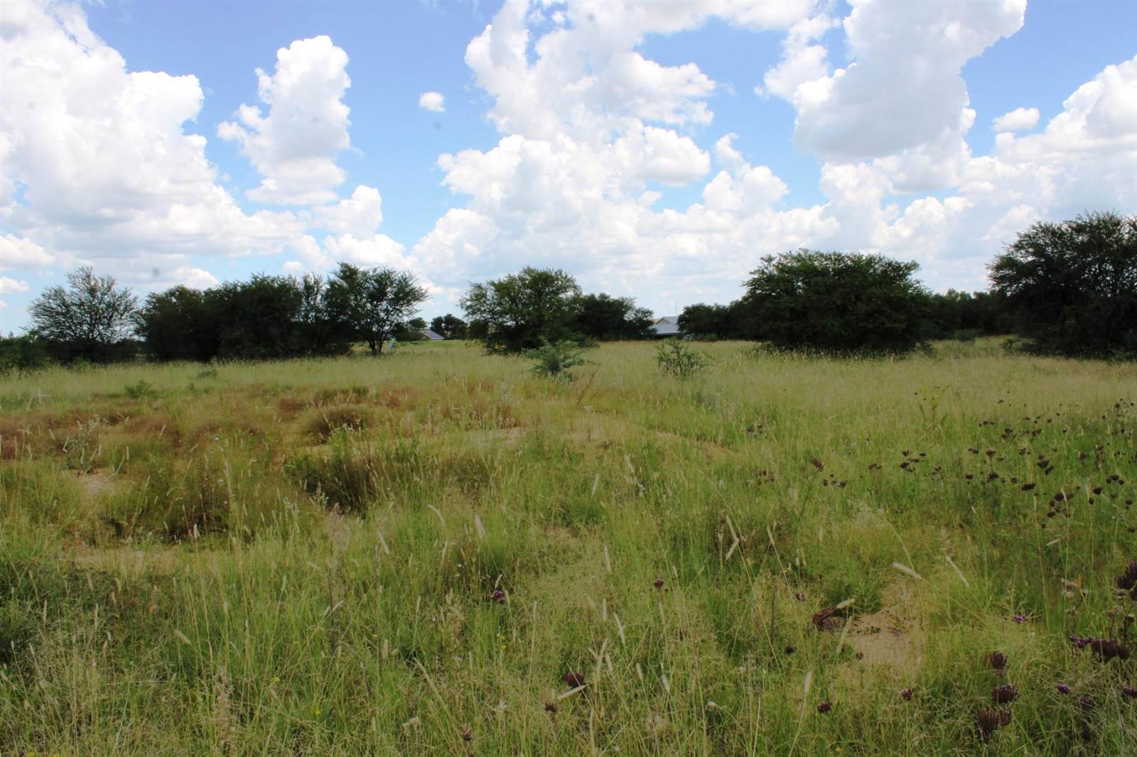 855 m² Land available in Parys Golf Estate photo number 1