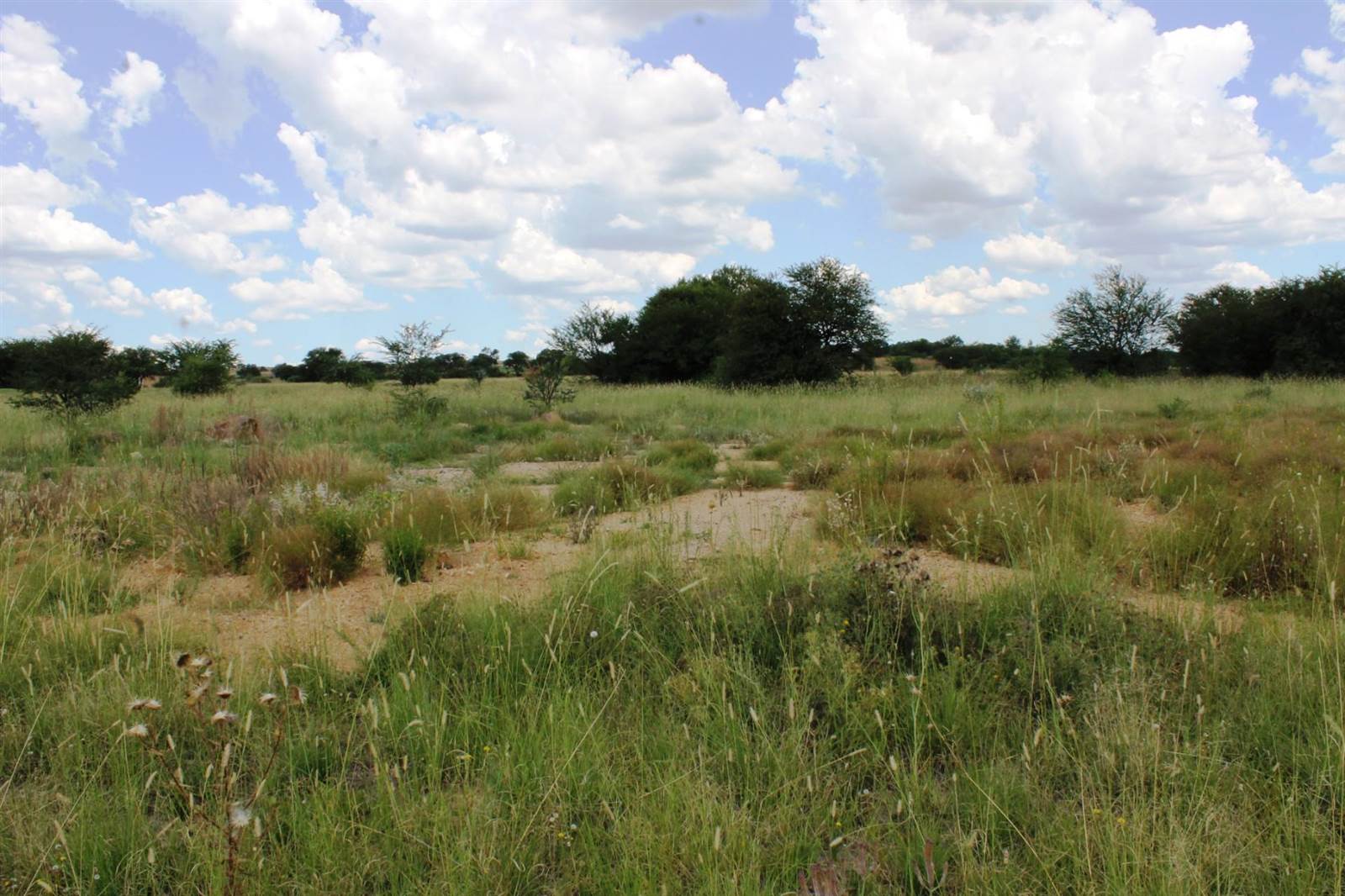 855 m² Land available in Parys Golf Estate photo number 3