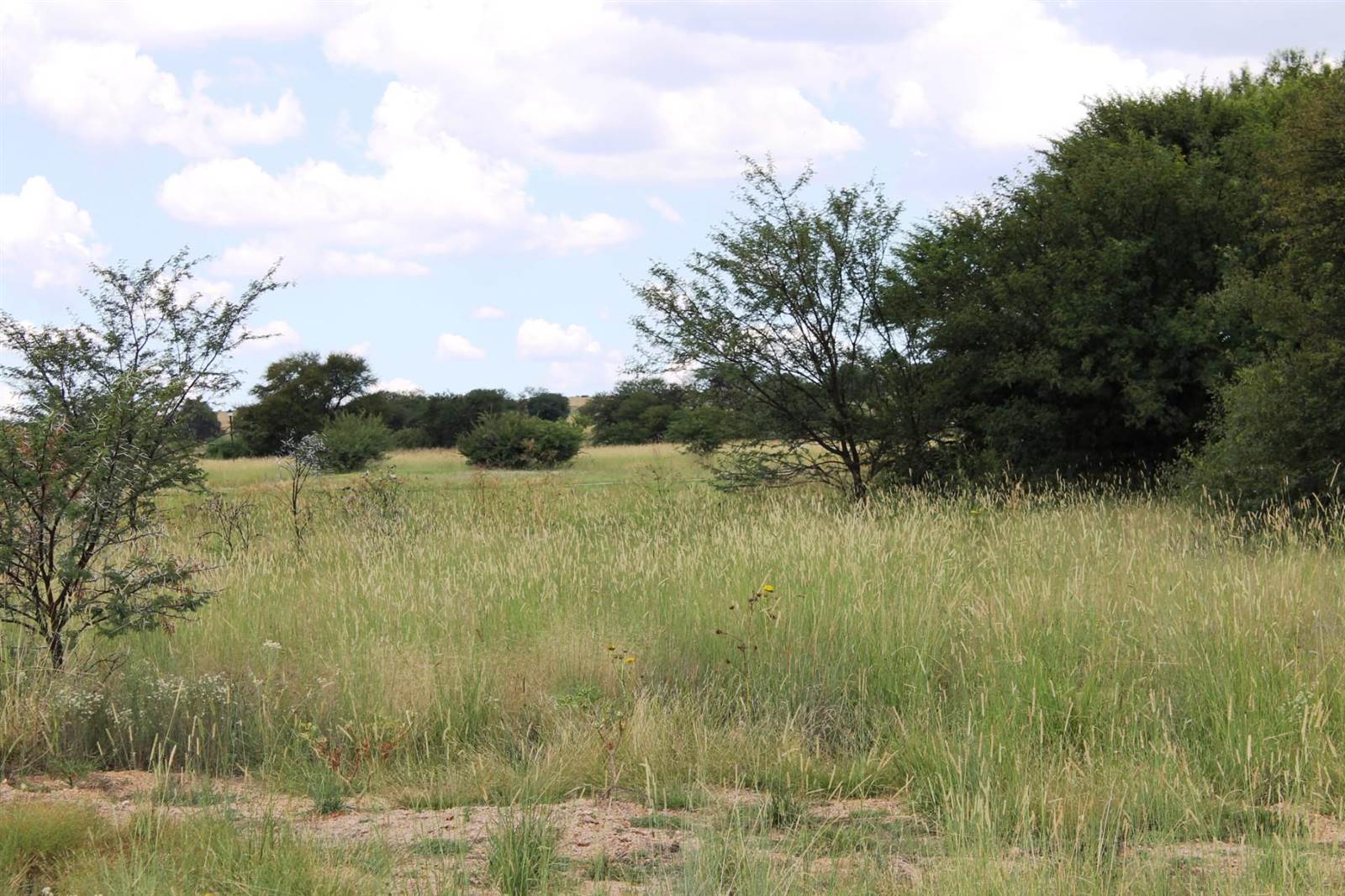 855 m² Land available in Parys Golf Estate photo number 10