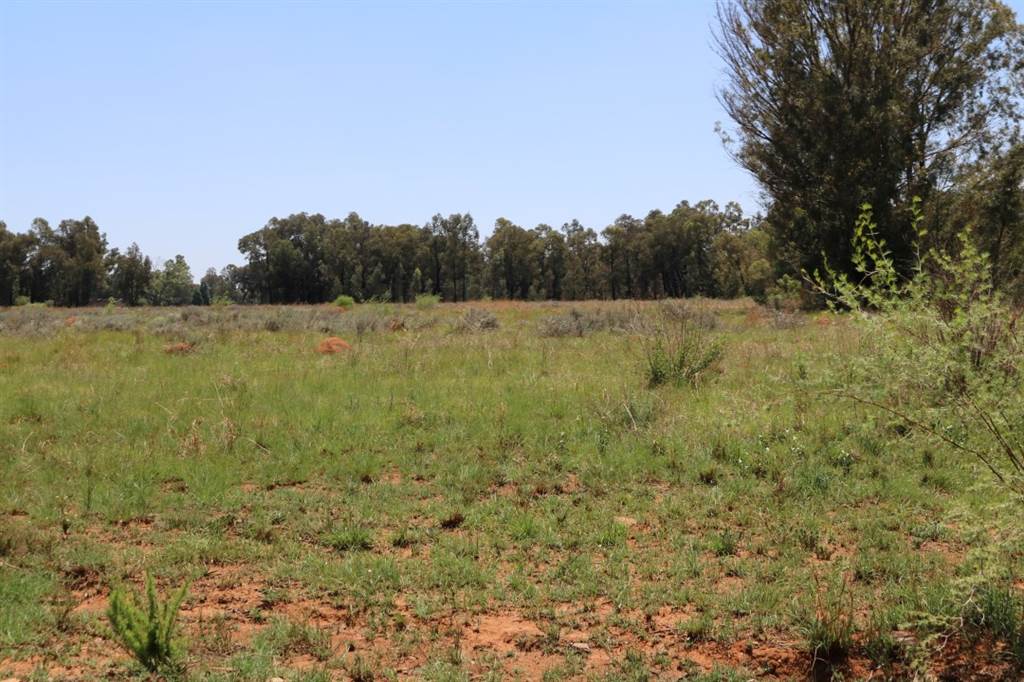 6 ha Land available in Valley Settlements AH photo number 1