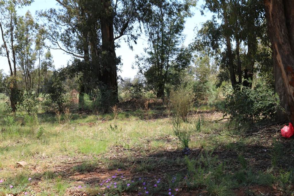 6 ha Land available in Valley Settlements AH photo number 4