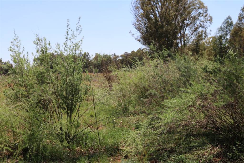 6 ha Land available in Valley Settlements AH photo number 5