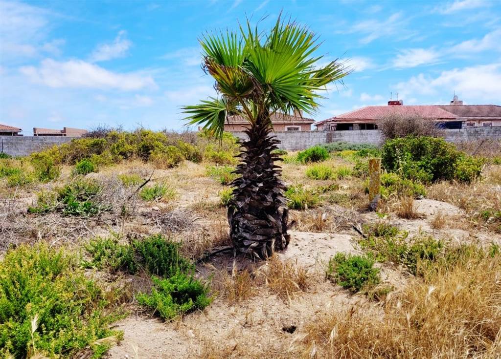 604 m² Land available in Saldanha photo number 7