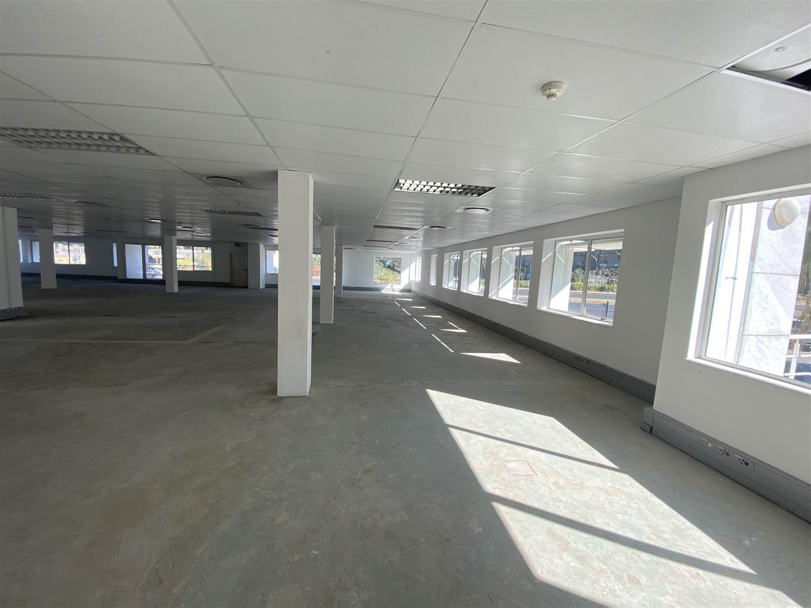 354  m² Commercial space in Morningside photo number 6