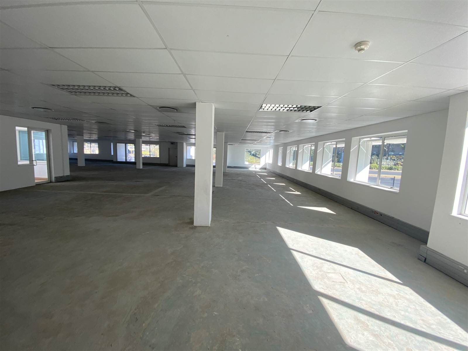 354  m² Commercial space in Morningside photo number 9