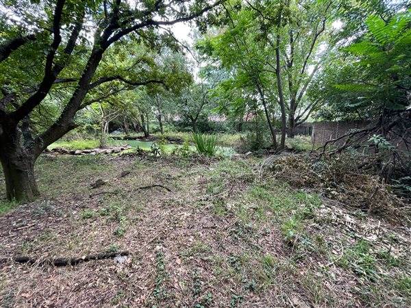 8332 m² Land available in Edenburg photo number 10