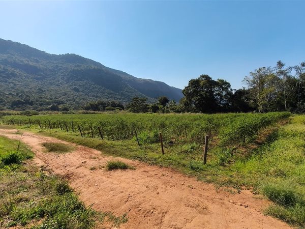 85 ha Farm