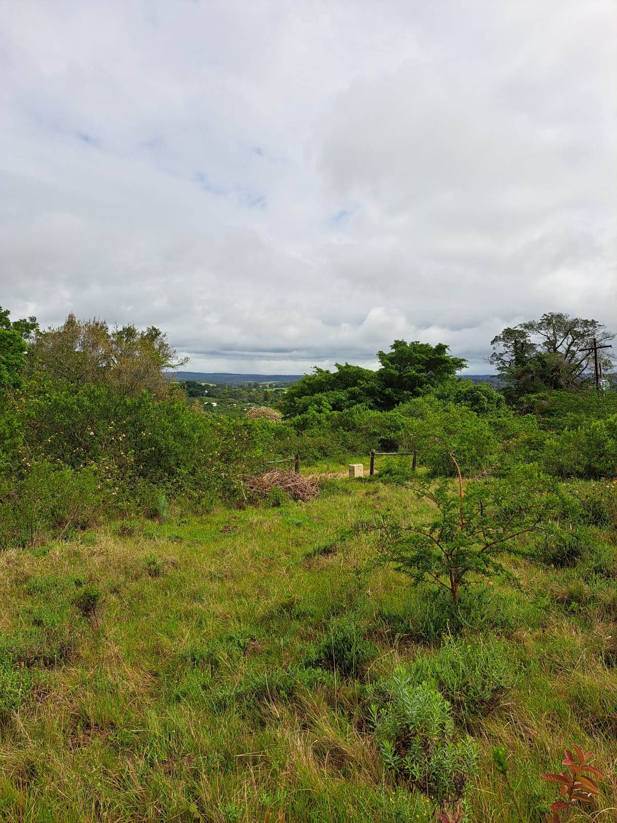 5407 m² Land available in Bathurst and Surrounds photo number 6