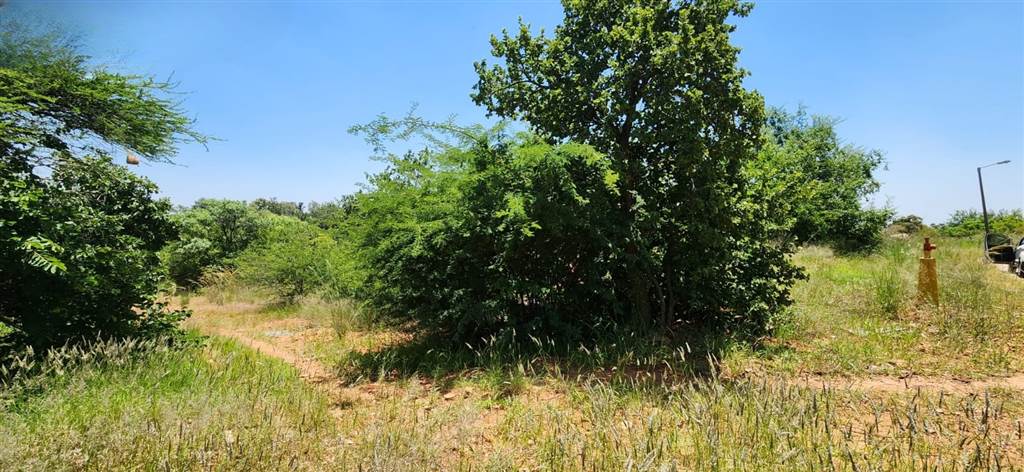 1534 m² Land available in Cashan photo number 3