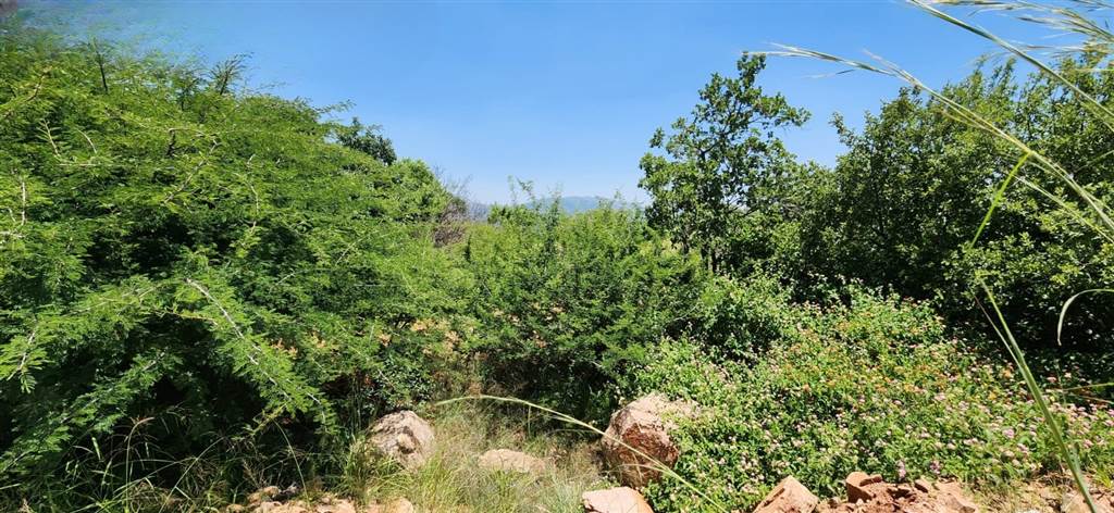 1534 m² Land available in Cashan photo number 2