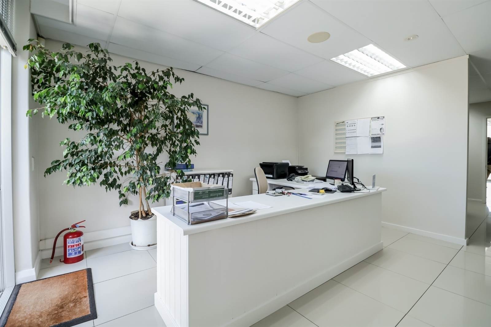 127  m² Office Space in Plettenberg Bay photo number 4