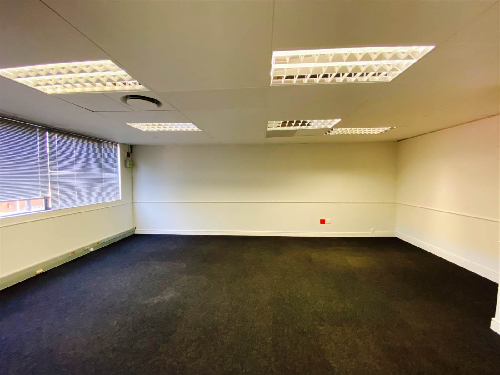 315  m² Office Space in Nieuw Muckleneuk photo number 12