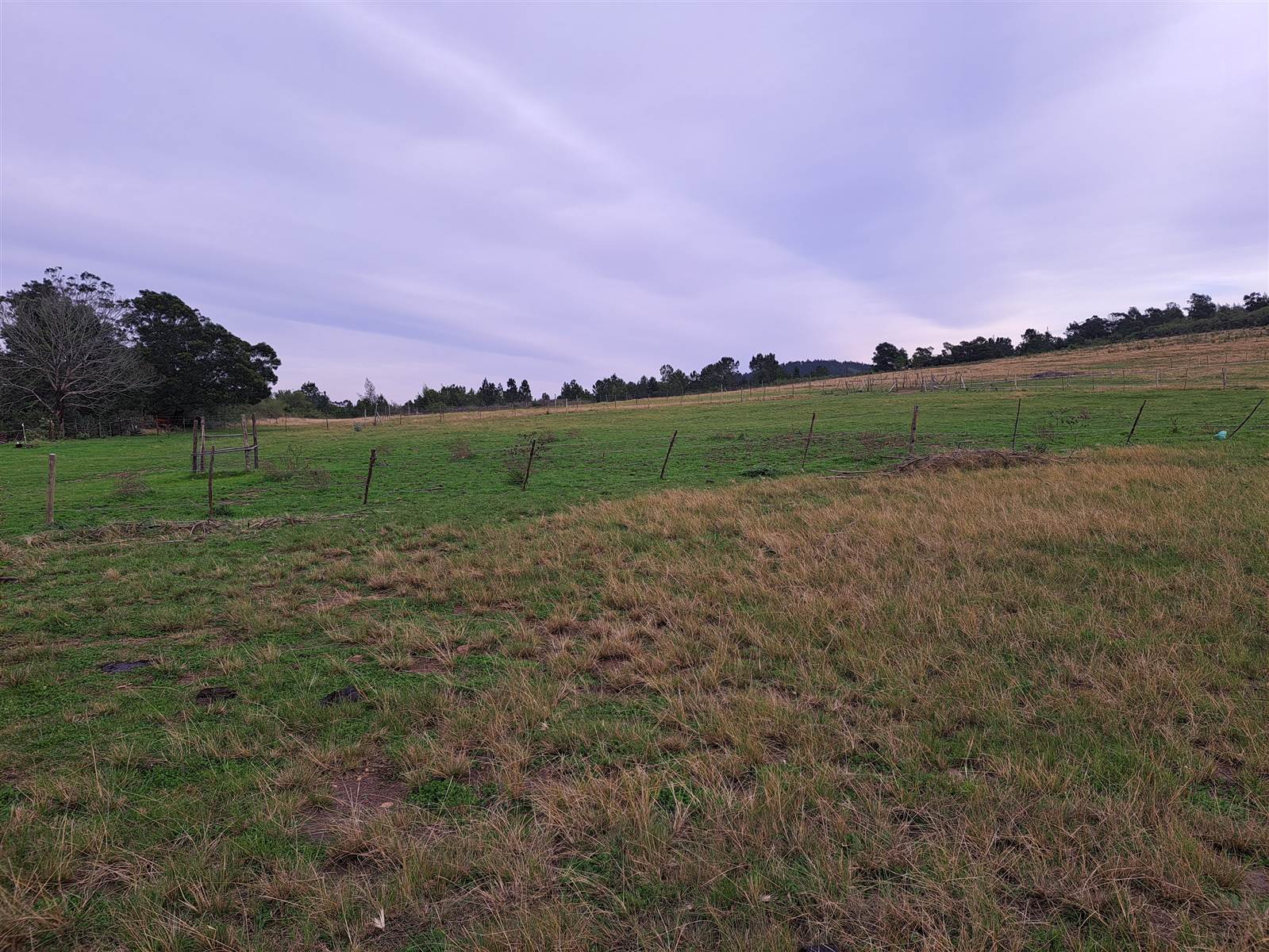 171 ha Farm in Riversdale photo number 12