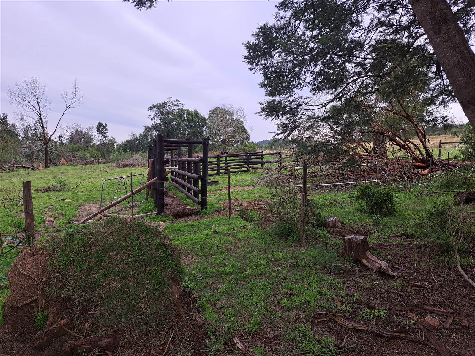 171 ha Farm in Riversdale photo number 11