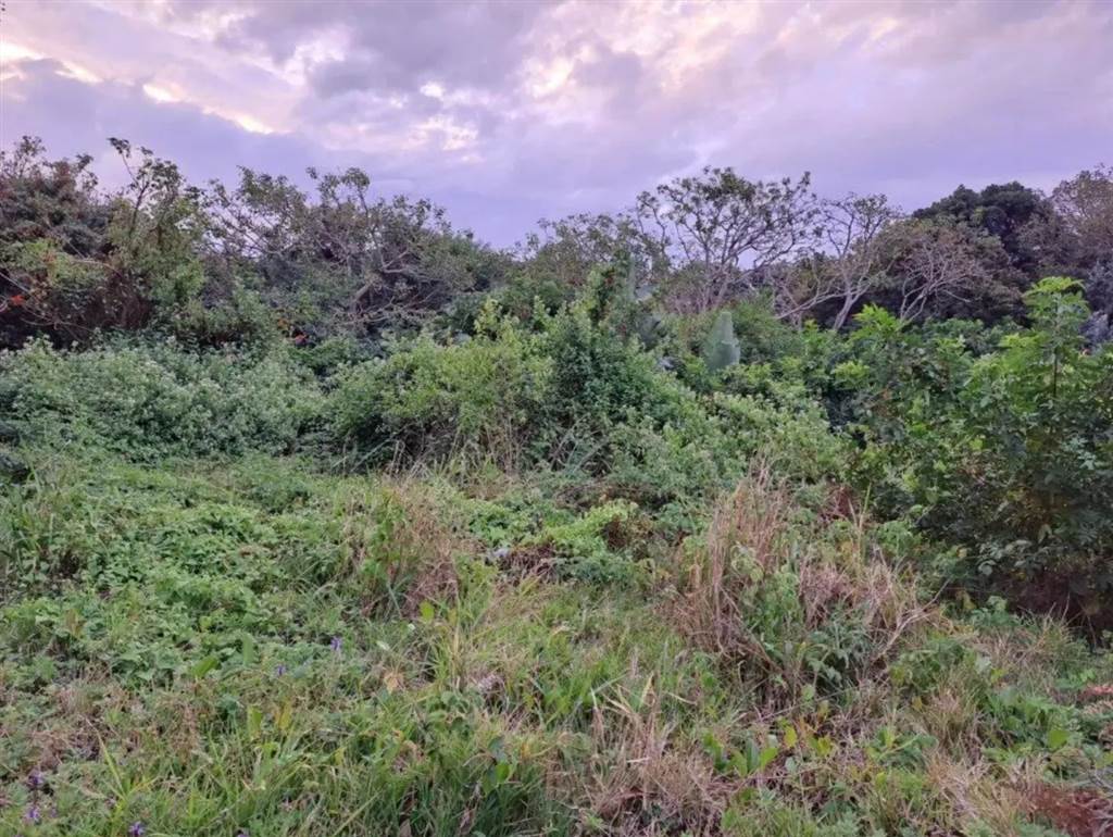 2293 m² Land available in Port Edward photo number 12