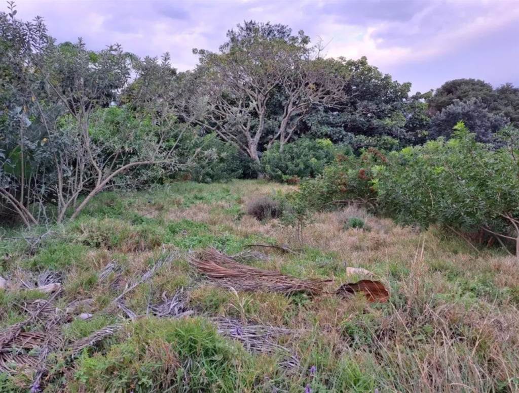 2293 m² Land available in Port Edward photo number 9