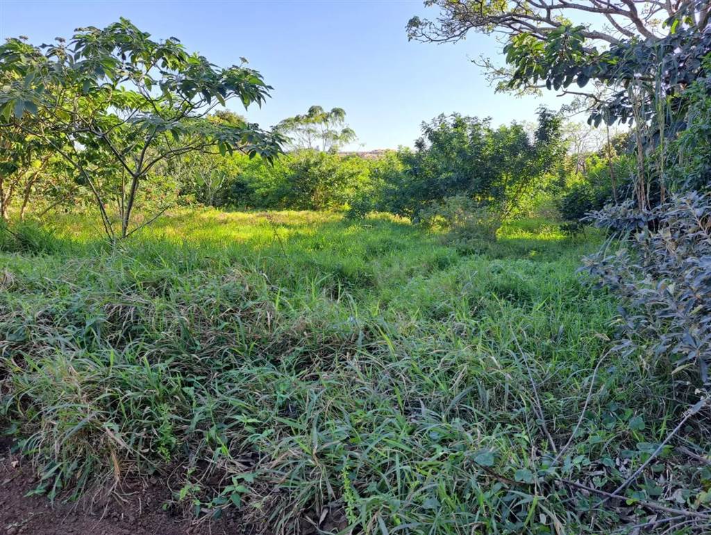 2293 m² Land available in Port Edward photo number 3