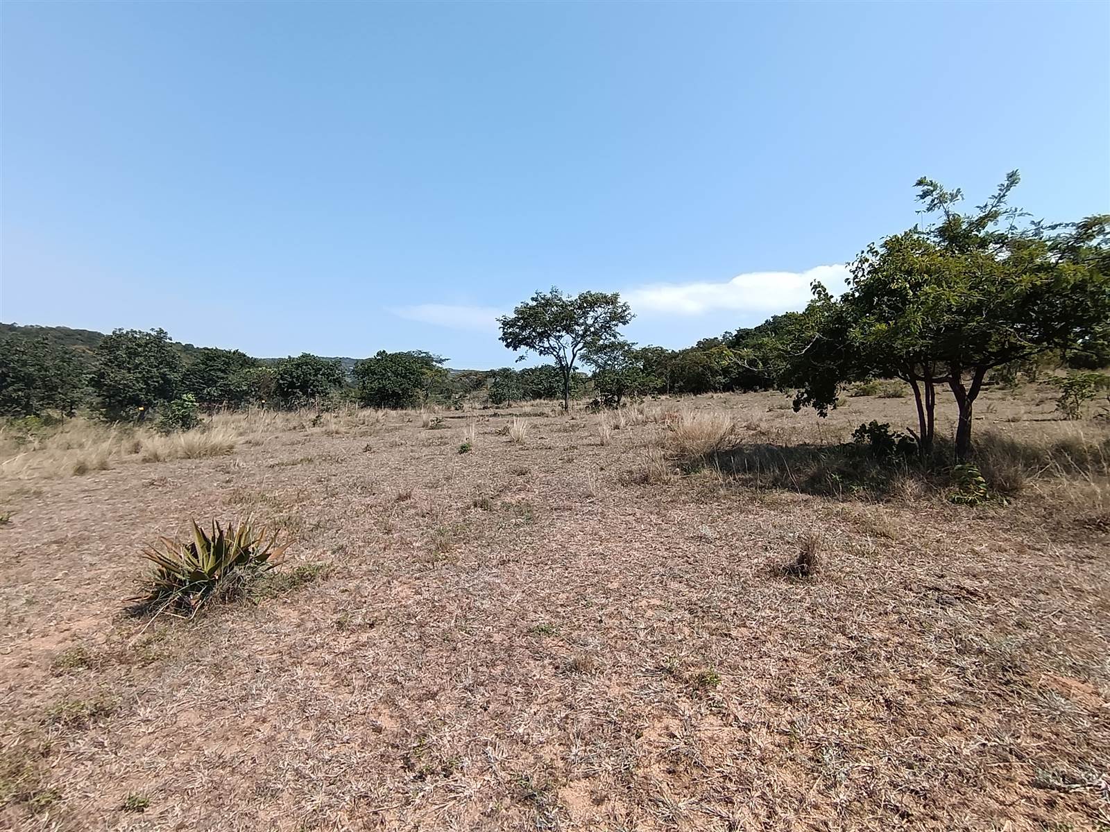 1 ha Land available in Nelspruit photo number 5