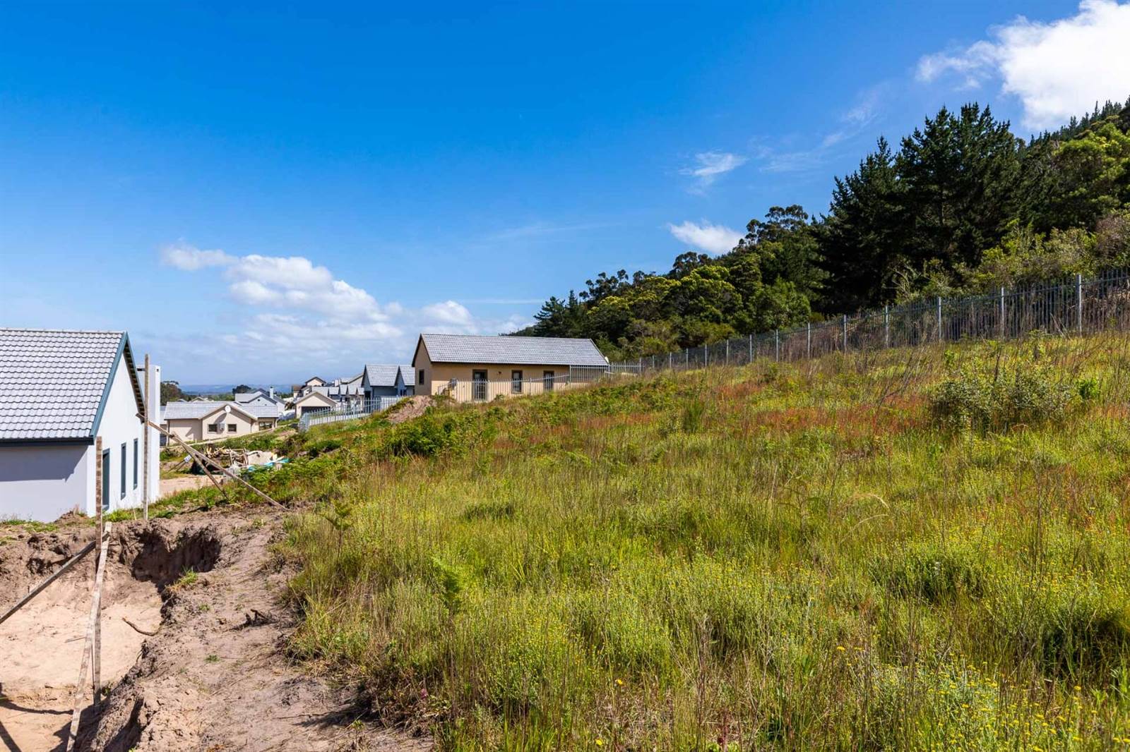 481 m² Land available in Sedgefield photo number 5