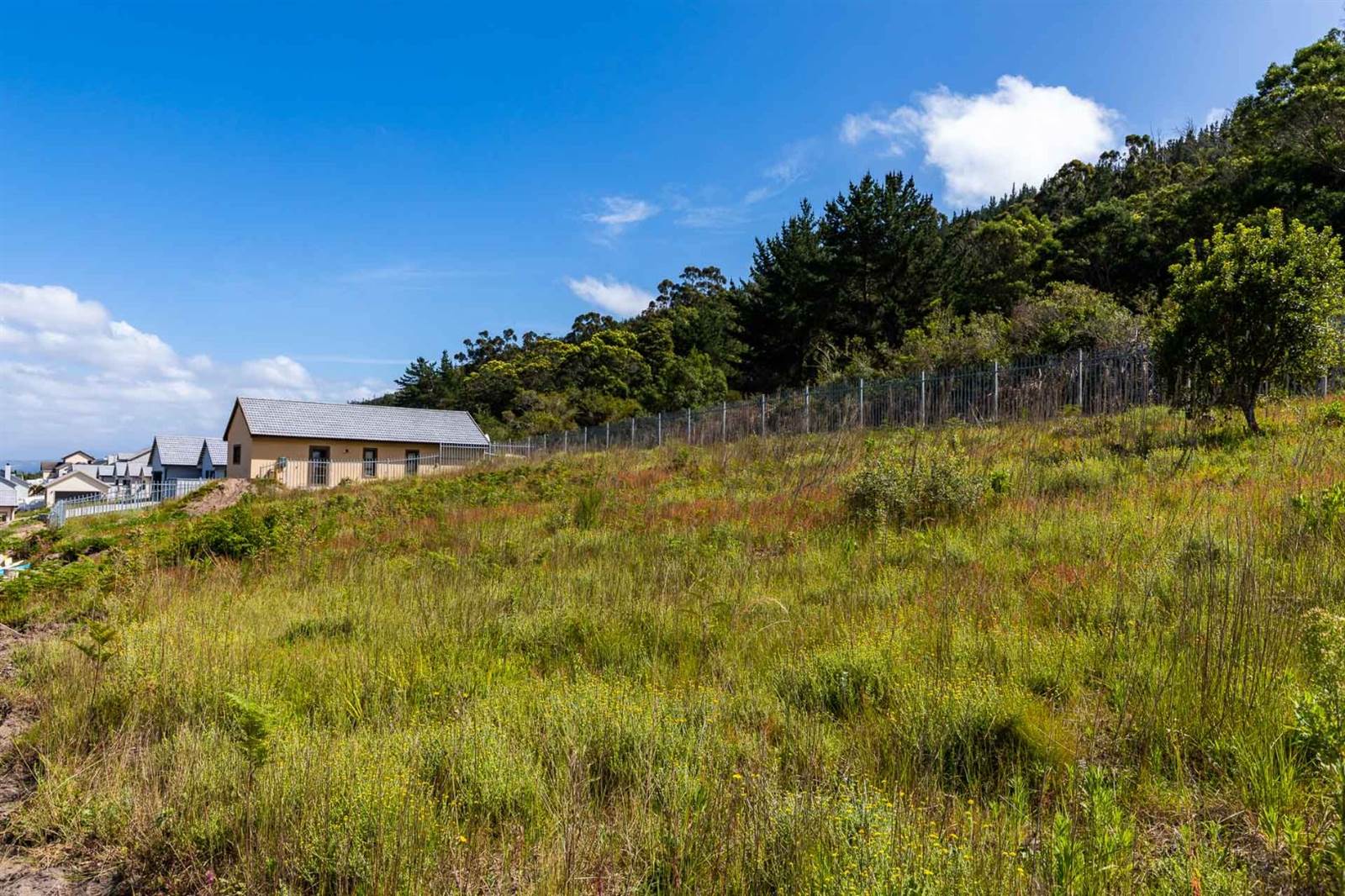 481 m² Land available in Sedgefield photo number 6