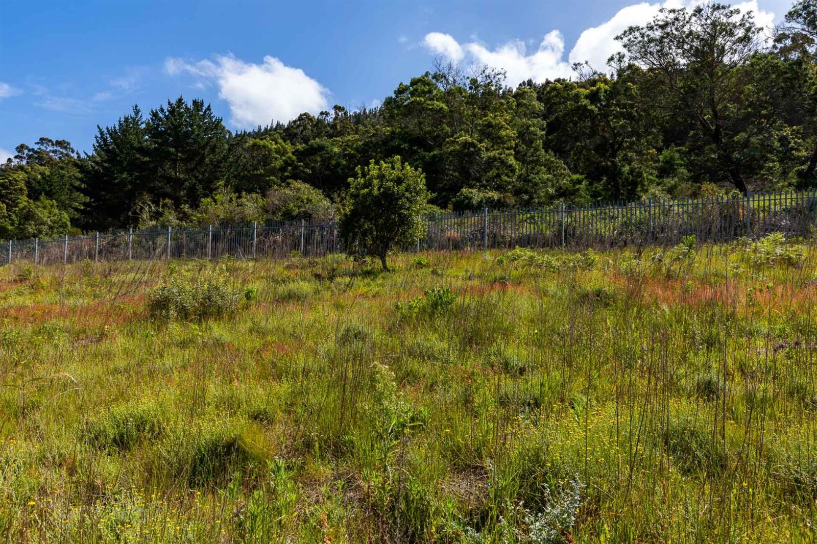 481 m² Land available in Sedgefield photo number 8