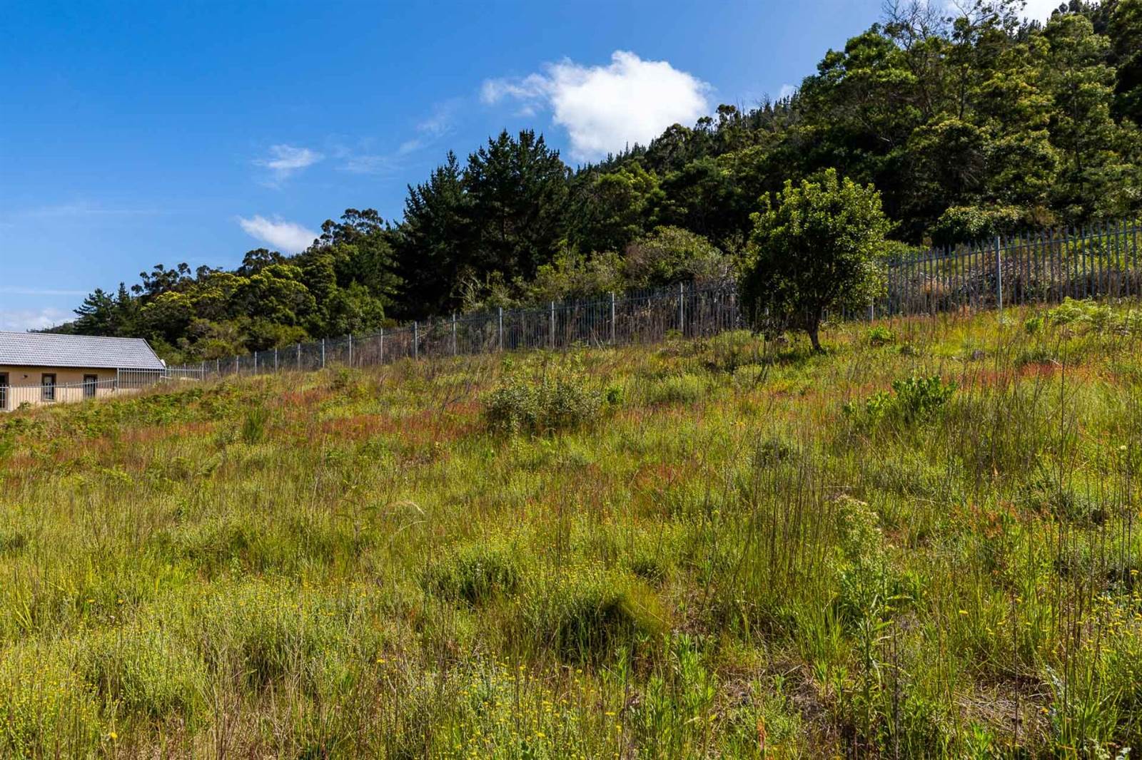 481 m² Land available in Sedgefield photo number 7