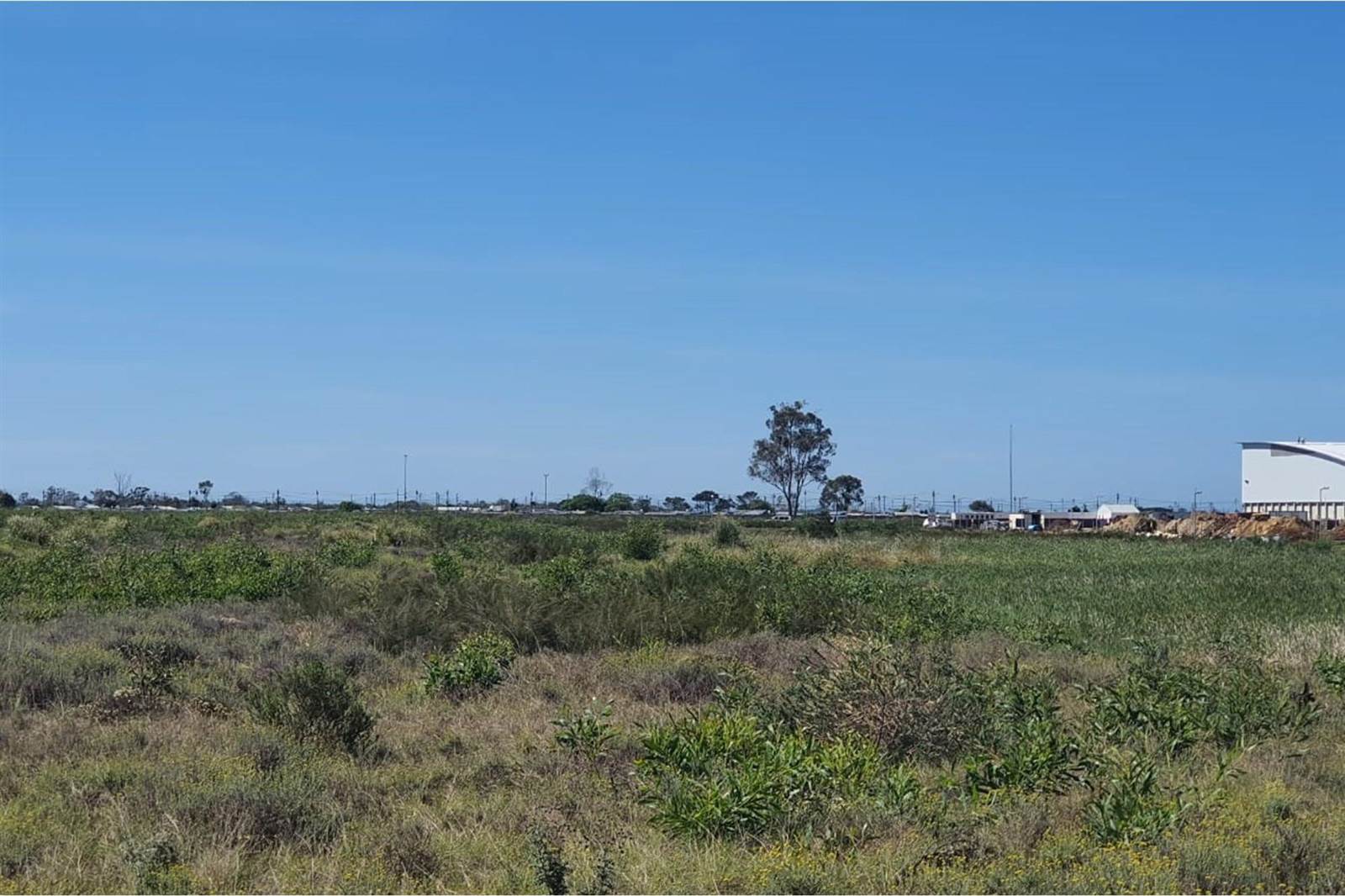 2500 m² Land available in Greenbushes photo number 5