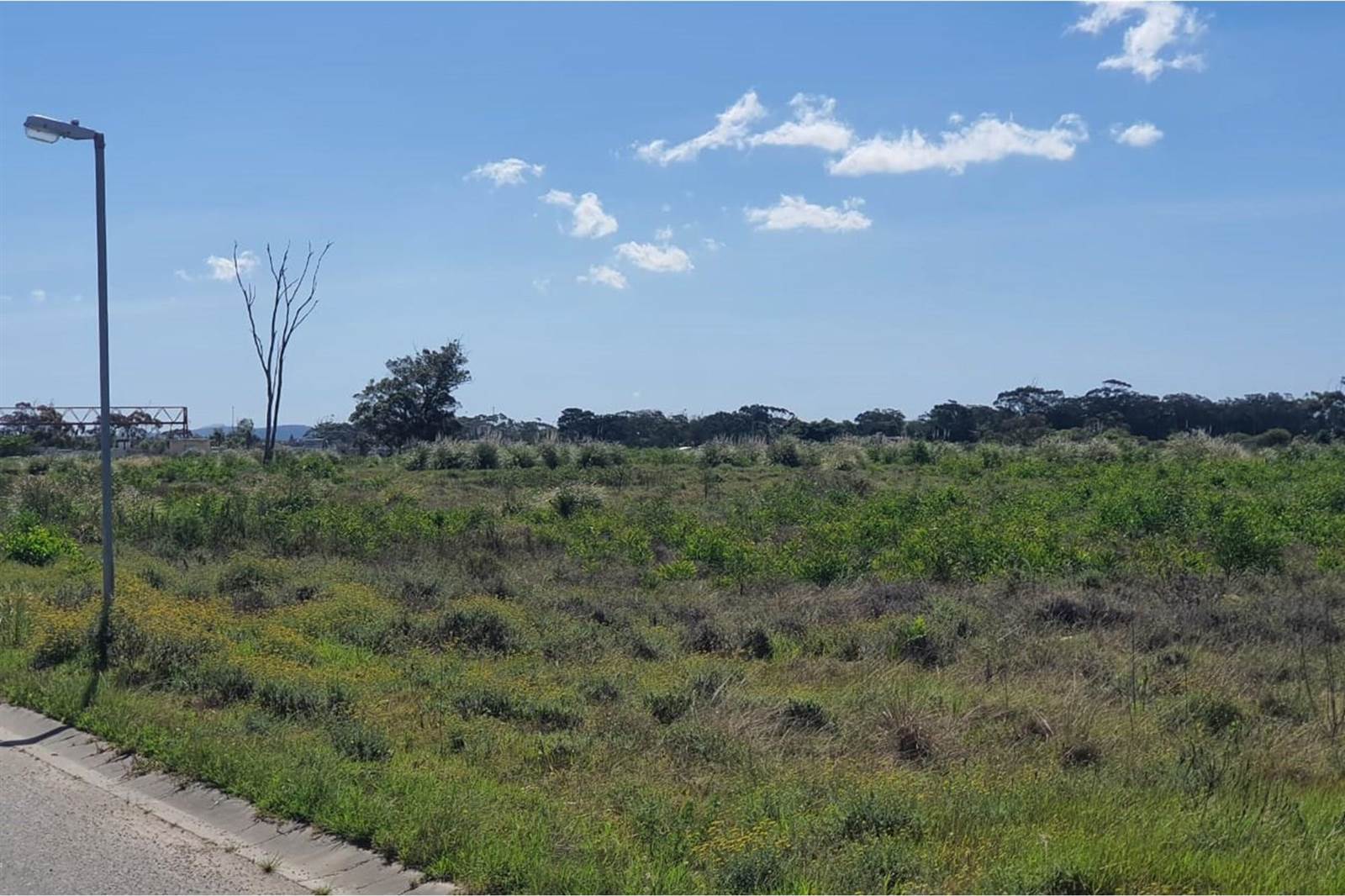 2500 m² Land available in Greenbushes photo number 4