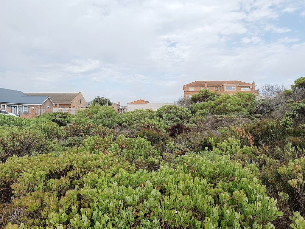 851 m² Land available in Struisbaai photo number 8
