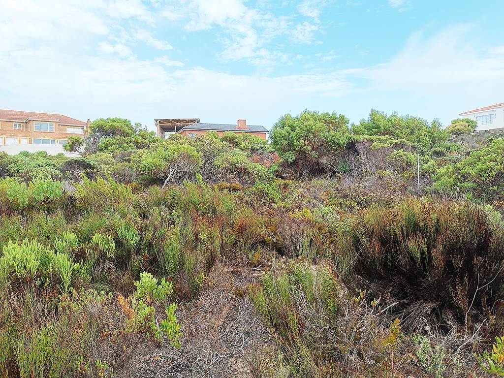 851 m² Land available in Struisbaai photo number 4