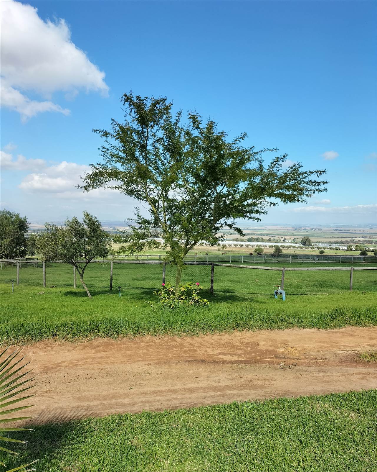 64 ha Farm in Northern Paarl photo number 3