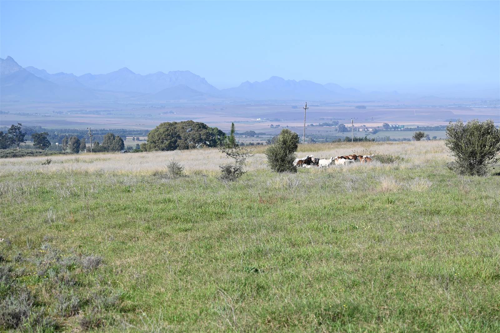 64 ha Farm in Northern Paarl photo number 12