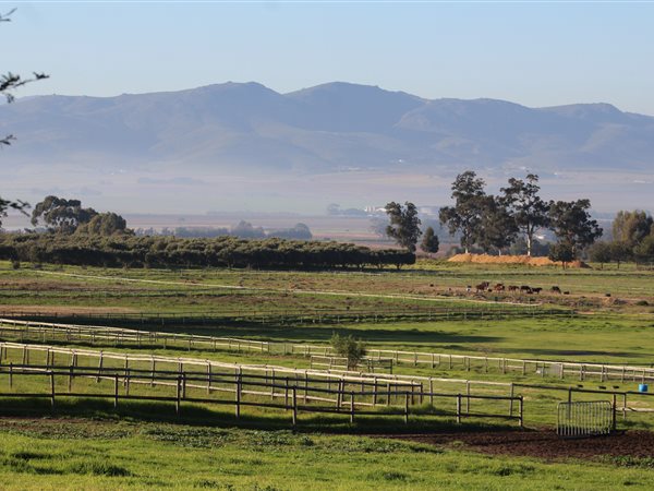64 ha Farm in Northern Paarl